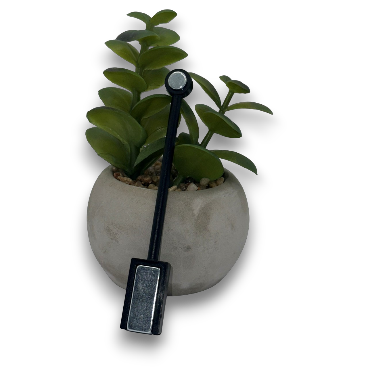 Aimant pour déco cat eyes