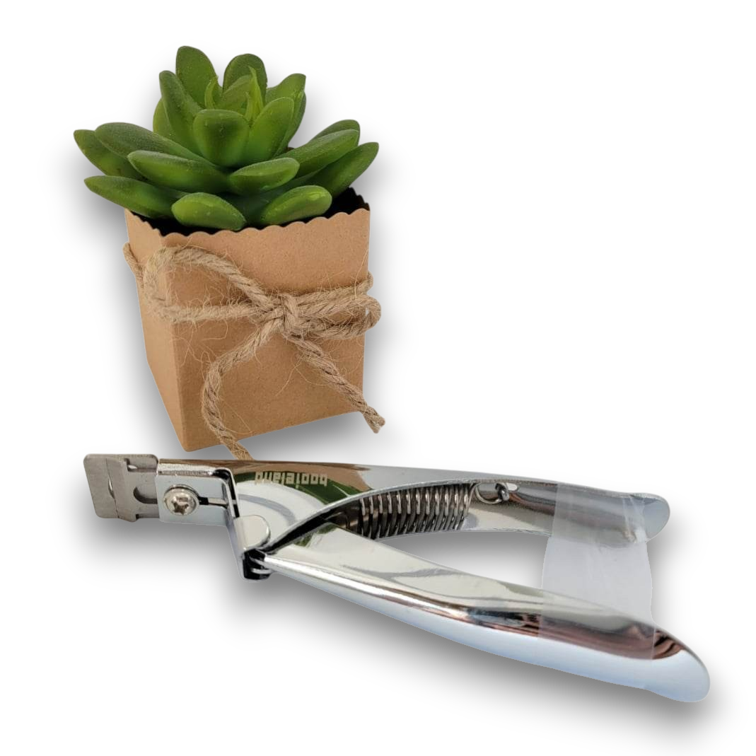 Coupe prothèses argent