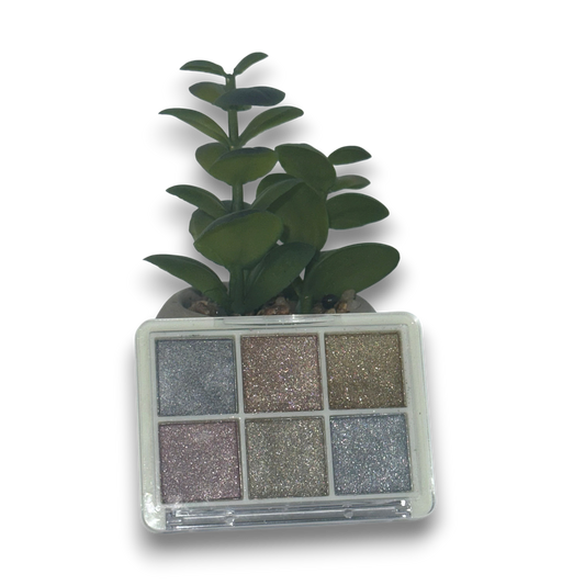 Coffret de poudres compacts à effets mirroir #7