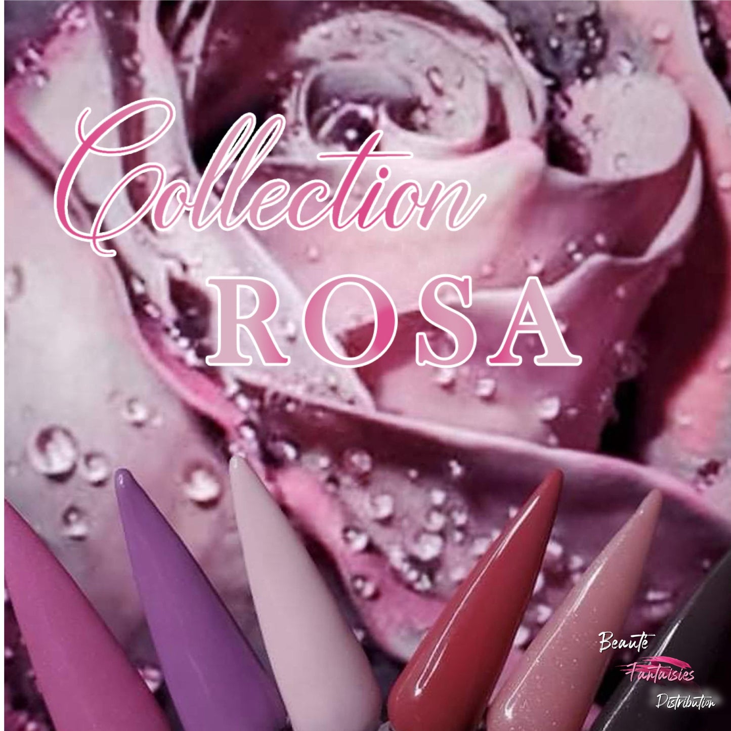 Collection Rosa