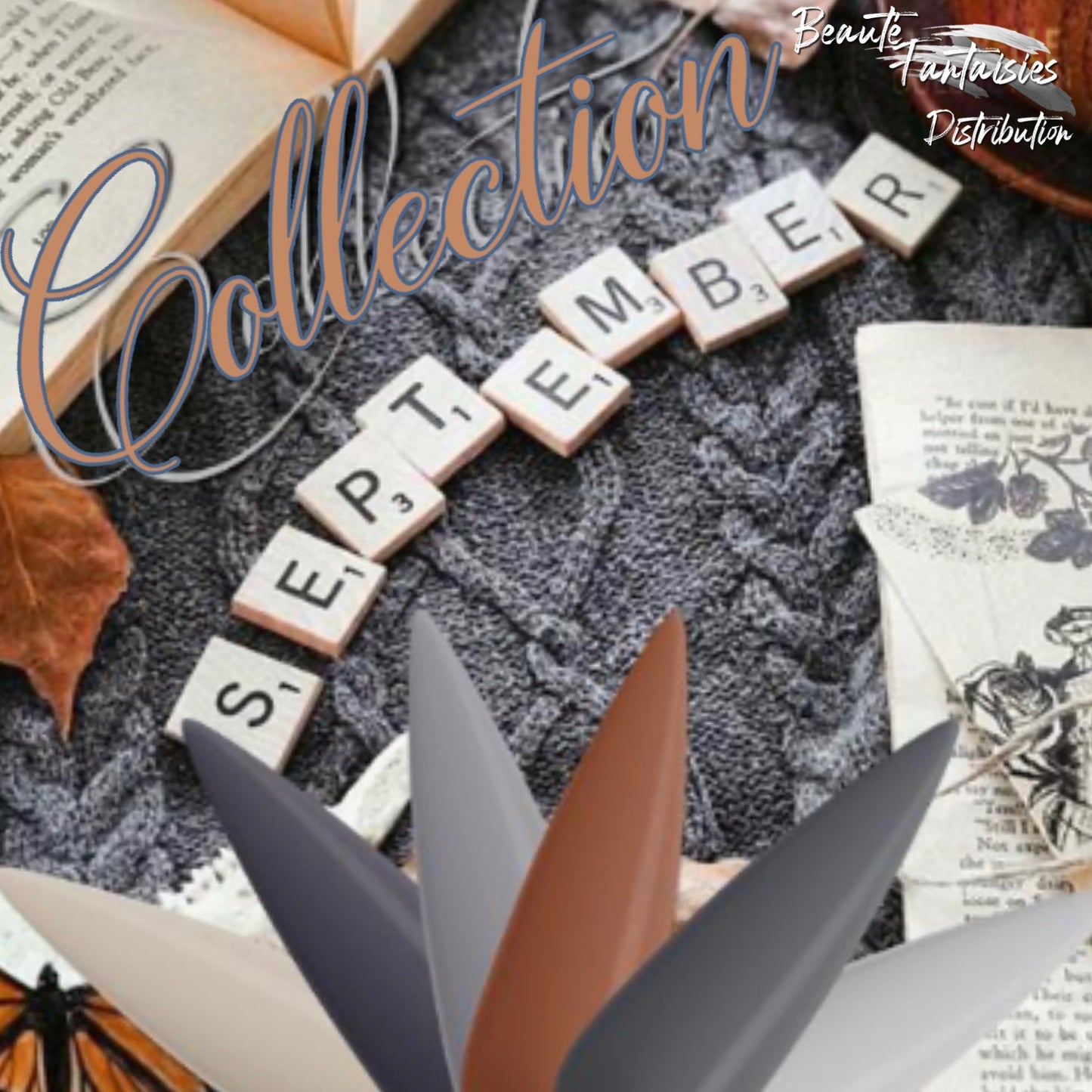 Collection Hello Septembre